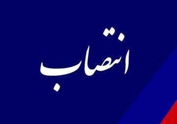 2 انتصاب کلیدی در آموزش و پرورش؛ گامی مهم در راستای تحول ساختاری و ارتقای سازمان نهضت سوادآموزی