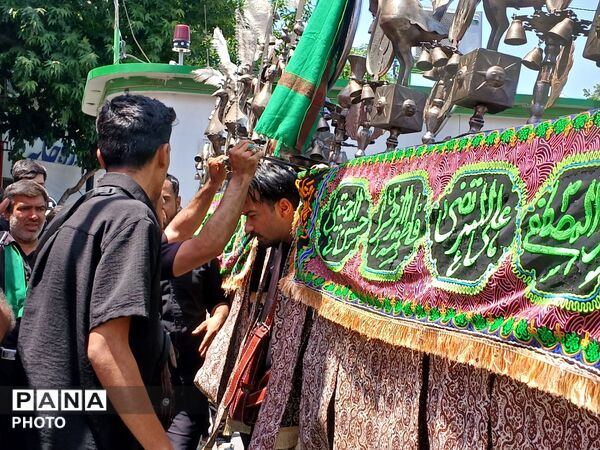 عاشورا؛ روایت دلدادگی در قاب اشک و ارادت 