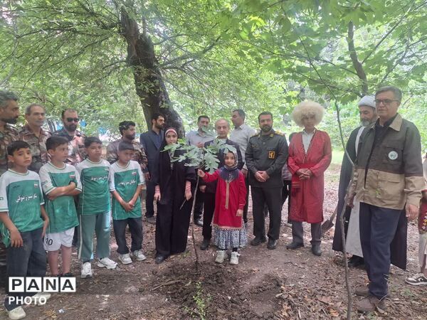 سرو ایران در آزادشهر ریشه دواند