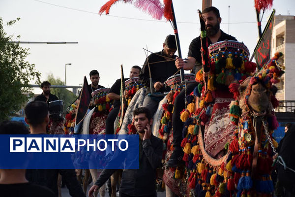 کاروان نمادین اسرای کربلا در قم - 2
