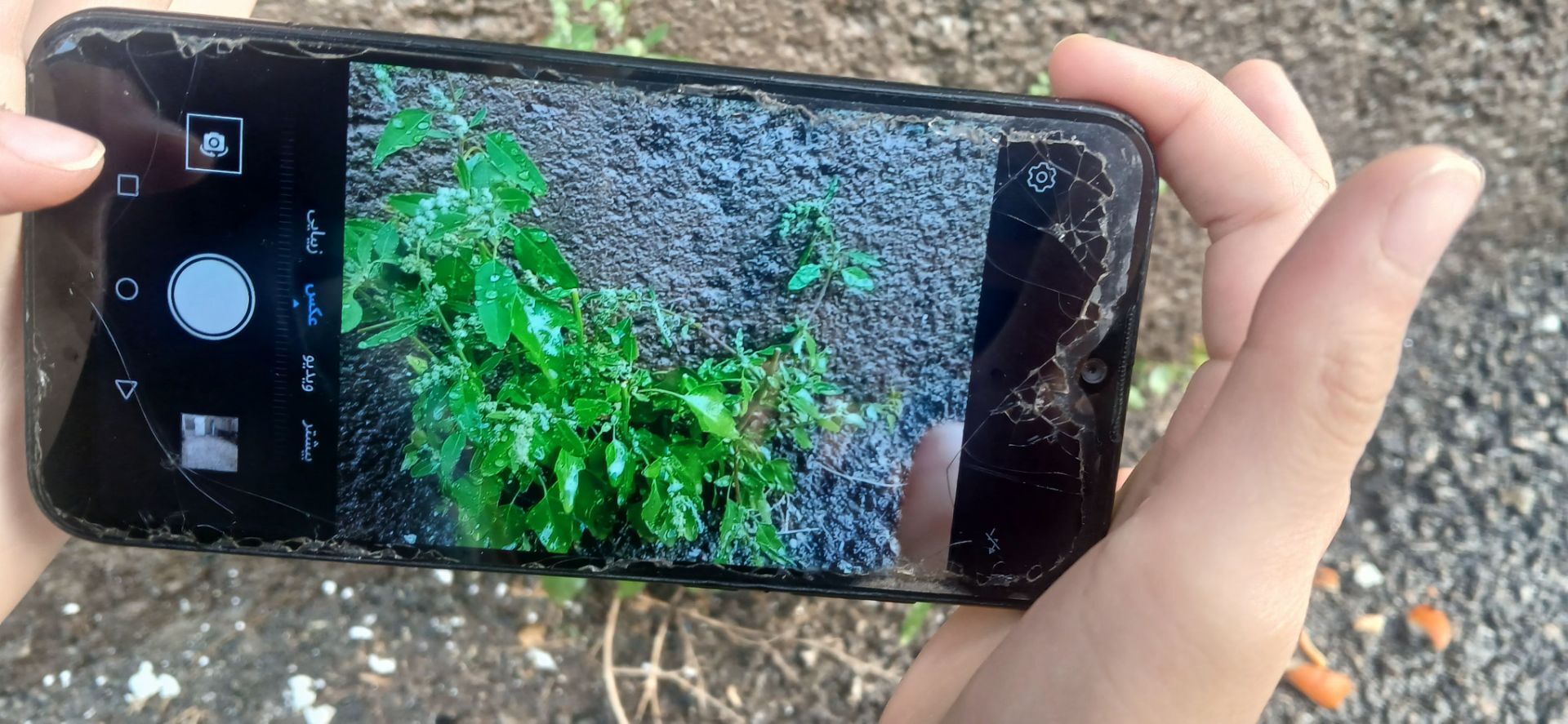 ‌‌باران رحمت الهی،باران بهاری و تماشایی باز هم مهمان شهر نیشابور شد