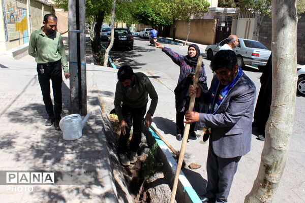کاشت درخت به نام شهدا