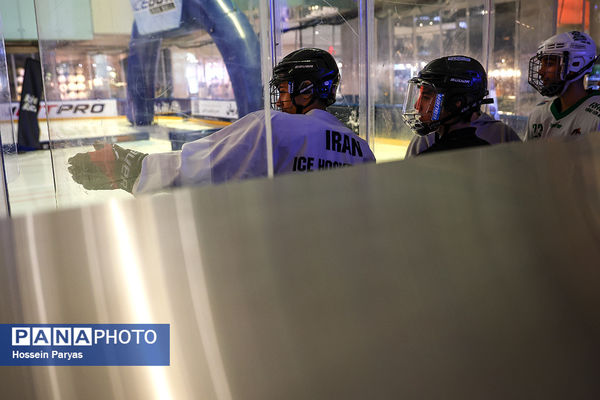 مسابقات اسکیت روی یخ