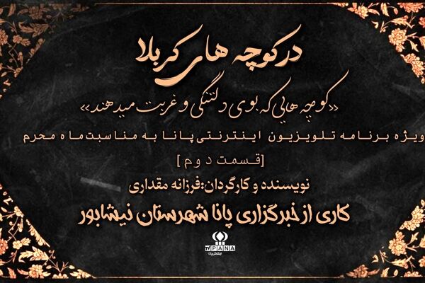 در کوچه های کربلا