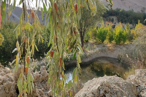 فصل زیبای پاییز در شهر بار نیشابور 