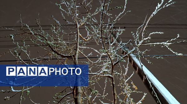 رحمت الهی برف بهاری بر دیار سلسله الذهب