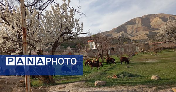 رویداد آیین باستانی سیزده بدر نیشابور در روز طبیعت از  قاب خبرنگاران پانا
