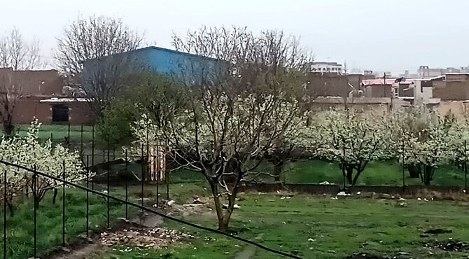 بارش باران رحمت الهی در نیشابور