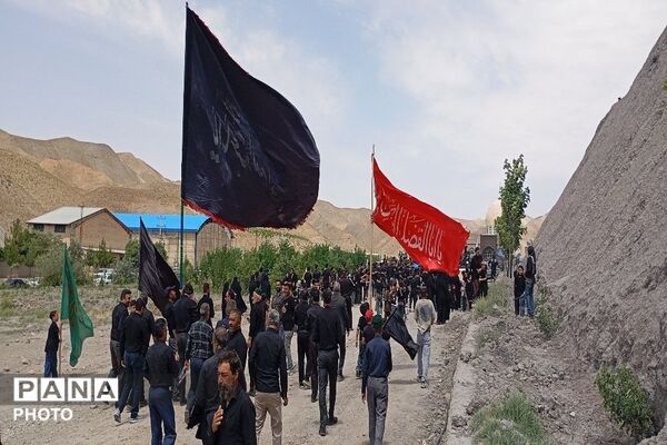 آیین باشکوه عزاداری امام حسین علیه السلام در روز عاشورای حسینی-۲