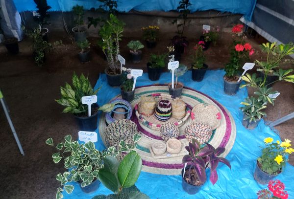 جشنواره مغ مهرگان شهرستان حاجی آباد
