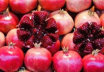 جشنواره کشوری انار ساوه 