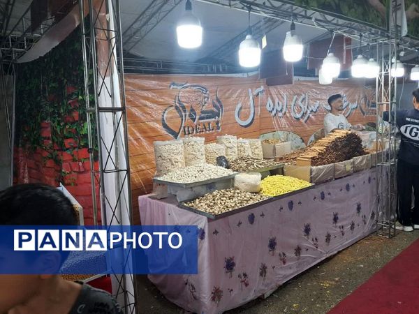 بازدید از نمایشگاه پاییزه سفر به شهرهای ایران