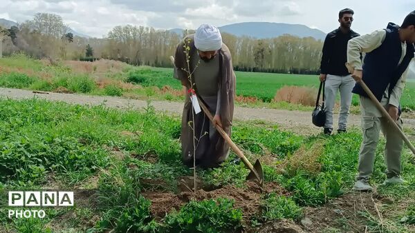 کاشت نهال فرهنگیان و دانش‌آموزان استان البرز با لبیک به فراخوان رهبر معظم انقلاب برای شهیدان شجره طیبه میناب