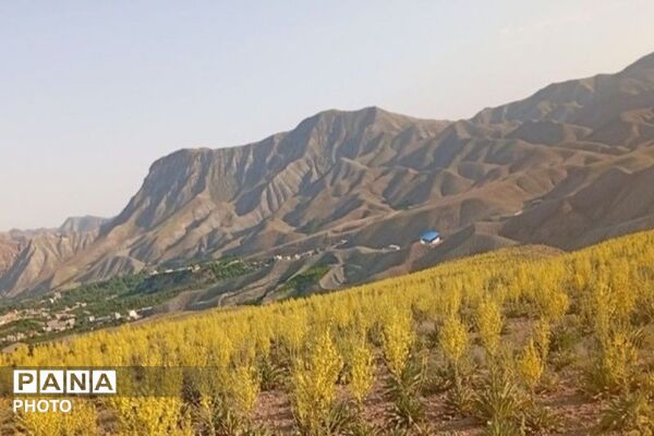 ارتفاعات شهر بار ذخیره‌گاه گیاهان دارویی کمیاب-۱