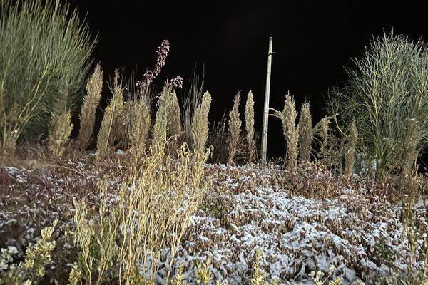 شب زیبای برفی در آباده