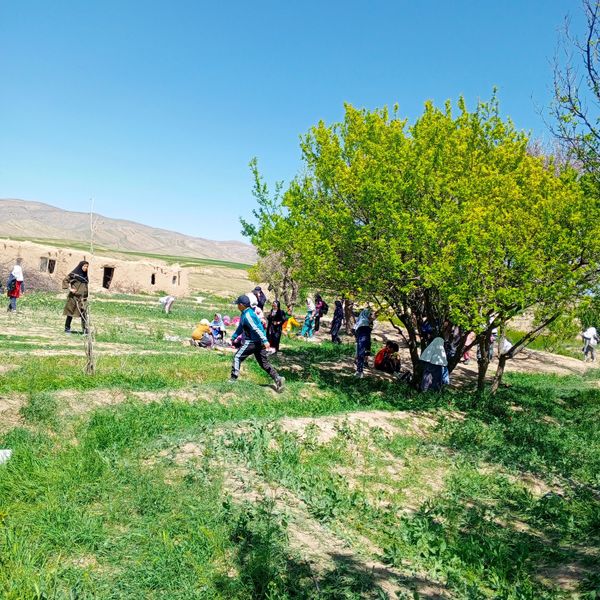 برگزاری اردوی تفریحی دانش‌آموزی بیرون از مدرسه