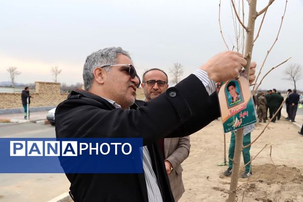 کاشت درخت به یاد شهدا در محمدشهر 