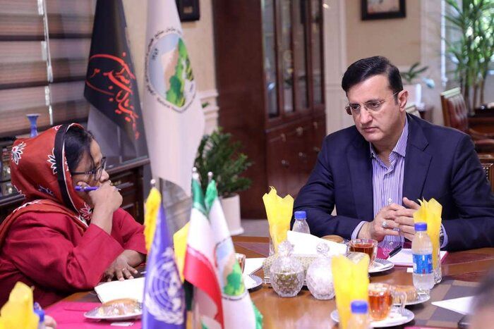 همکاری ایران و سازمان ملل؛ تمرکز بر بیابان‌زدایی و مقابله با گرد و غبار