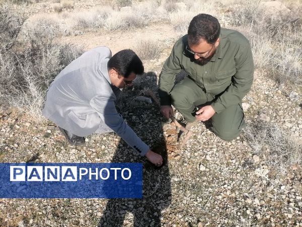 باهمت سبز، آبی شود آسمان شهرمان 