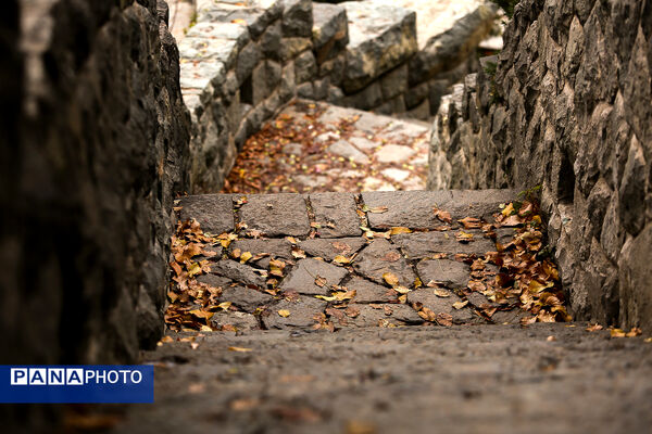 پاییز خیال انگیز در پارک جمشیدیه