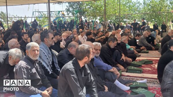 درگزین یک‌بار دیگر با جاماندگان اربعین به عشق حسین(ع) گره خورد