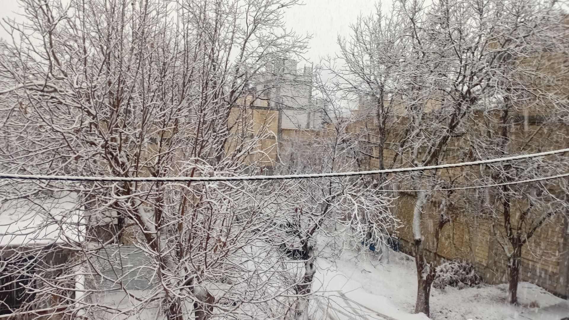 مارکده در آغوش سپیدی برف