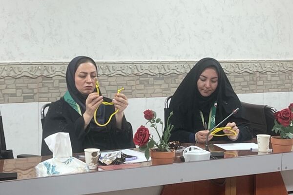 توانمند‌سازی مربیان پیشتاز در قرچک