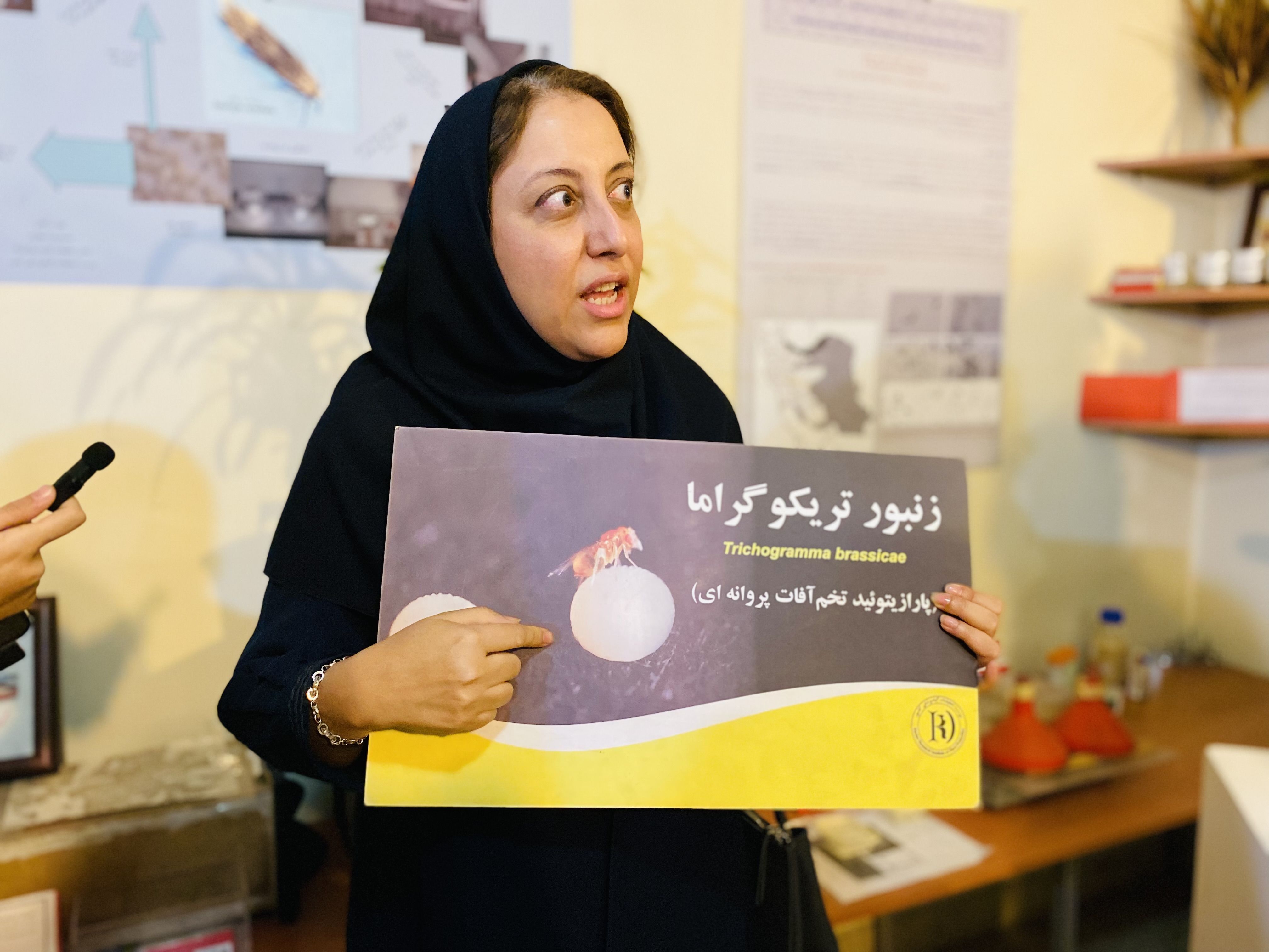 کارشناسان کشاورزی بر اهمیت گسترش روش‌های کنترل بیولوژیک در کشاورزی تأکید کردند