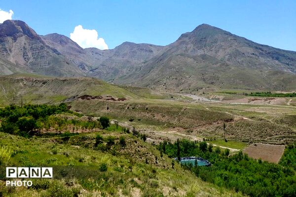کوه های شهر بار ذخیره‌گاه گیاهان ارزشمند و کم نظیر دارویی 