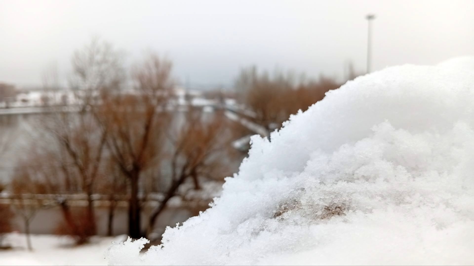 گرداب بن زیر چتر سپید برف