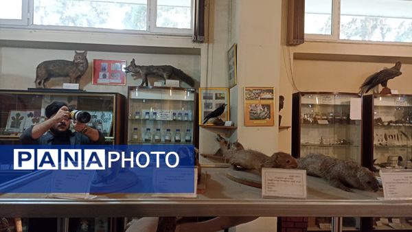 بازدید خبرنگاران پانا از موسسه گیاه شناسی کشور 