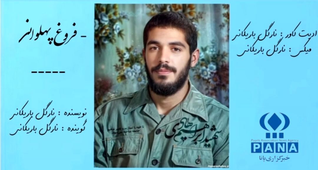 فروغ پهلوانی
