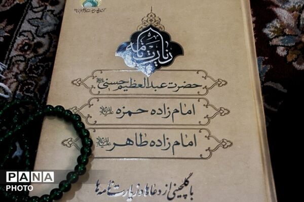 حرم حضرت عبدالعظیم حسنی(ع) در میزبانی «رادیو تهران»