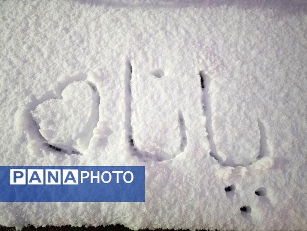 سفید مثل برف