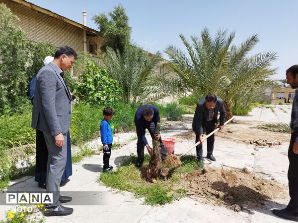 ۴ اصل نخل؛ نماد پاسداشت شهیدان و همدلی در منطقه شیب‌کوه 