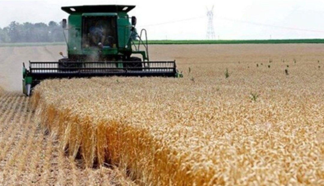 آغاز برداشت جو در خراسان‌شمالی