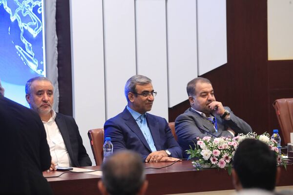 پنل همکاری‌های اقتصادی، استانی ، تجاری، سرمایه‌گذاری و مناطق آزاد