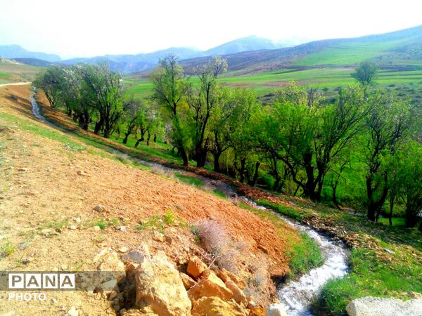 وانان، تابلوی بی‌بدیل خالق، شکوه رنگ‌ها و عظمت کوهستان