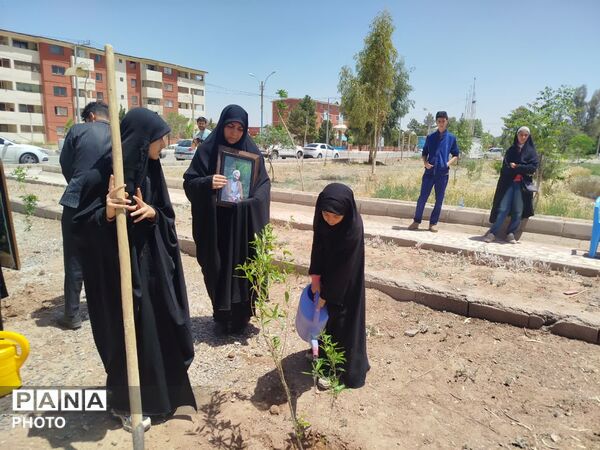 غرس دویست نهال به یاد شهدای جنگ رمضان در پایگاه هوانیروز کرمان