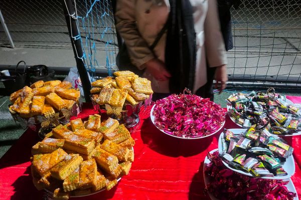 برگزاری طرح «میدان پویا» در مدرسه شهید همدانی پردیس 