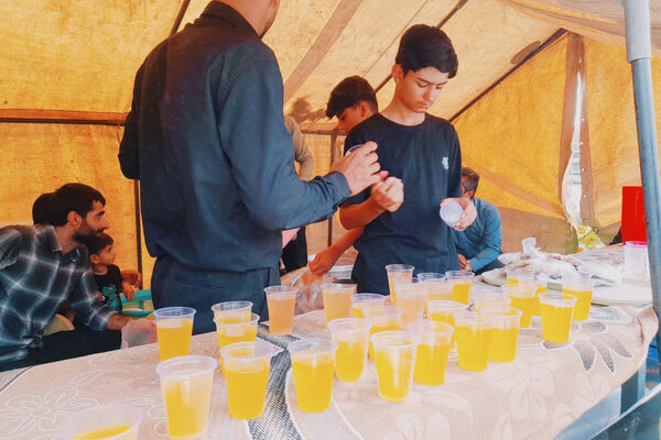 امامزادگان میزبان عزاداران محرم 