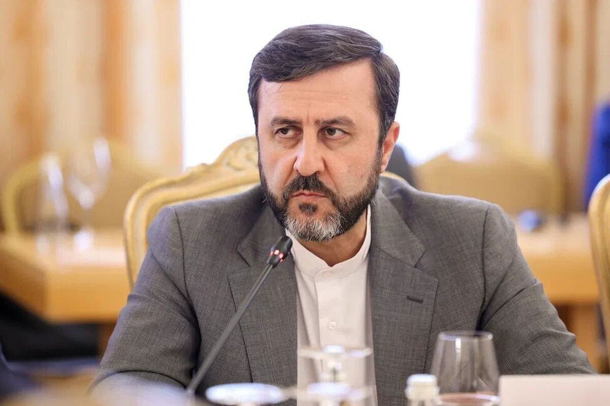 غریب‌آبادی عازم ژنو شد
