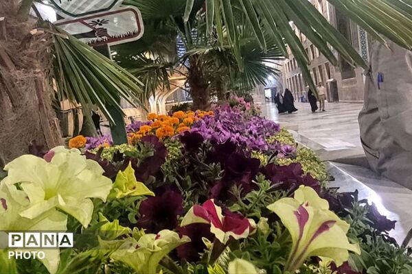 روایتِ شورِ ولایت در قاب دوربین خبرنگار بختیاری 
