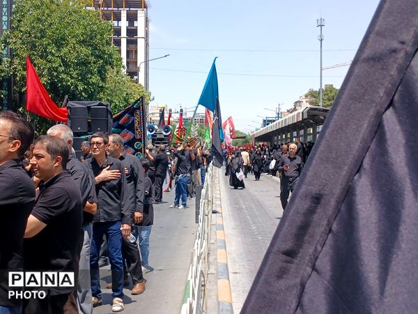 عاشورا؛ روایت دلدادگی در قاب اشک و ارادت 