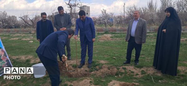 کاشت چهل نهال یادبود چهلم شهدای دانش‌آموزی مدرسه شجره طیبه میناب در اردوگاه الغدیر تبریز 