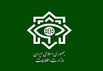 ۲۱ مزدور موساد و ۴ شرور مسلح در کرمان بازداشت شدند