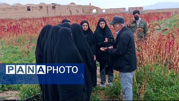 اردو راهیان پیشرفت در خلیل آباد