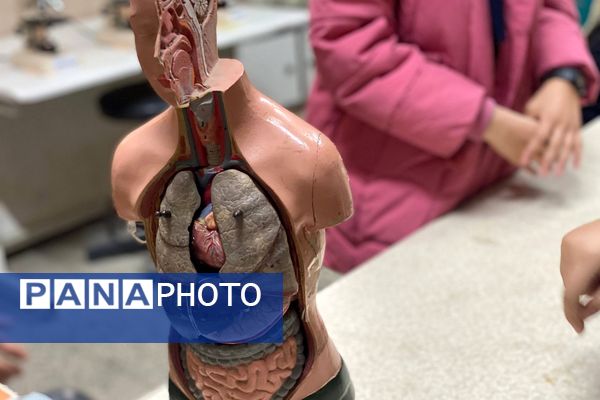 گامی در مسیر کشف حقیقت