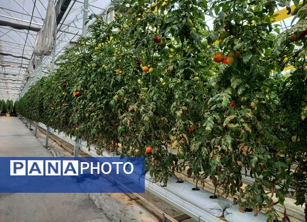 دومین تور رسانه‌ای مدیریت امور اراضی سازمان جهاد کشاورزی آذربایجان شرقی