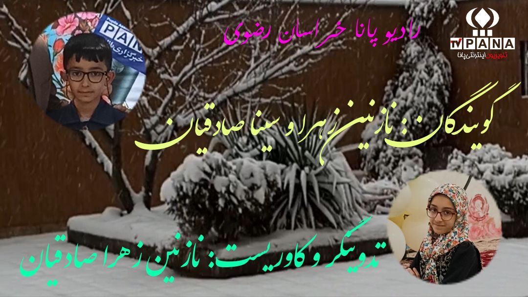 برف بی صدا می بارد